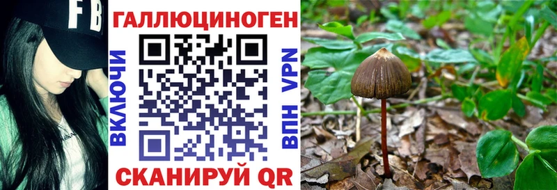 маркетплейс какой сайт  Пятигорск  Галлюциногенные грибы Cubensis 